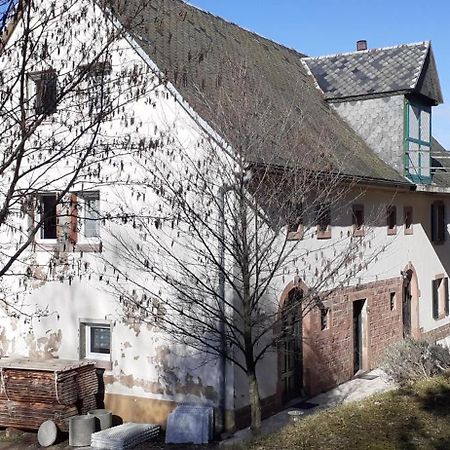 Nordiques De La Welche Villa Orbey Kültér fotó