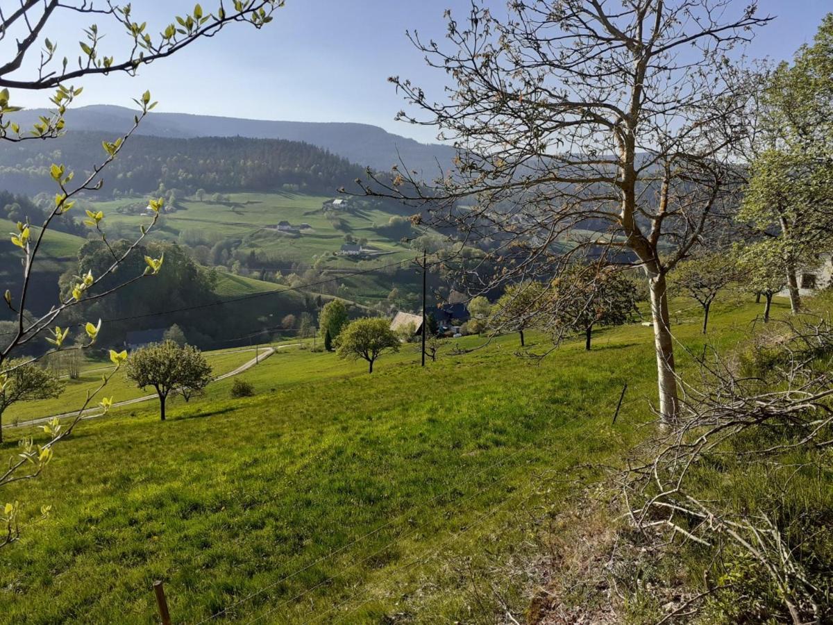 Nordiques De La Welche Villa Orbey Kültér fotó