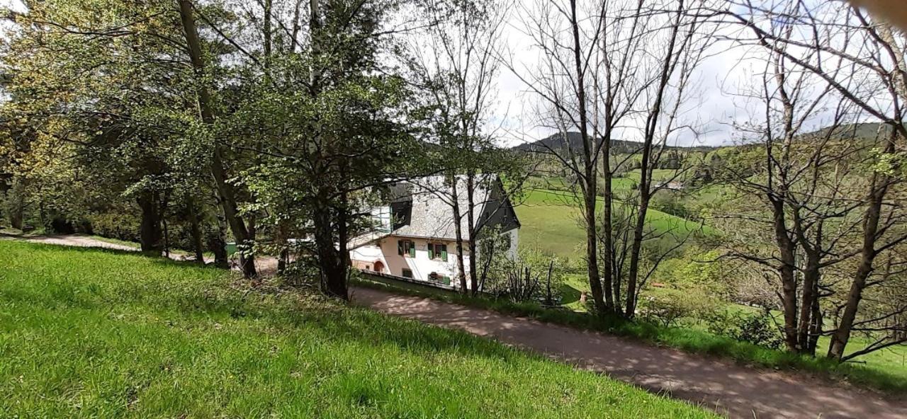 Nordiques De La Welche Villa Orbey Kültér fotó