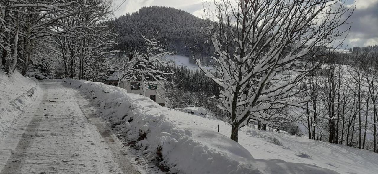 Nordiques De La Welche Villa Orbey Kültér fotó
