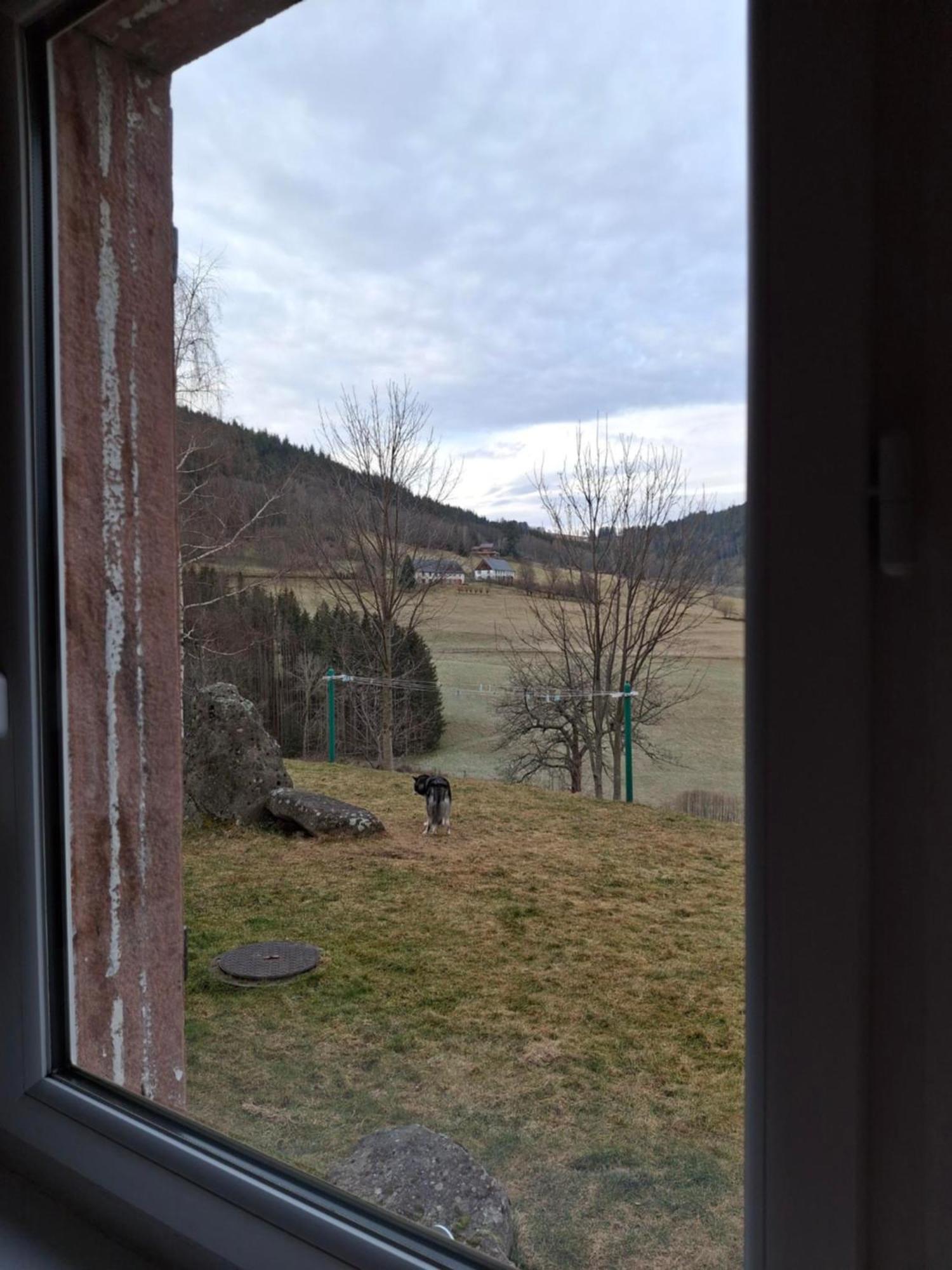 Nordiques De La Welche Villa Orbey Kültér fotó