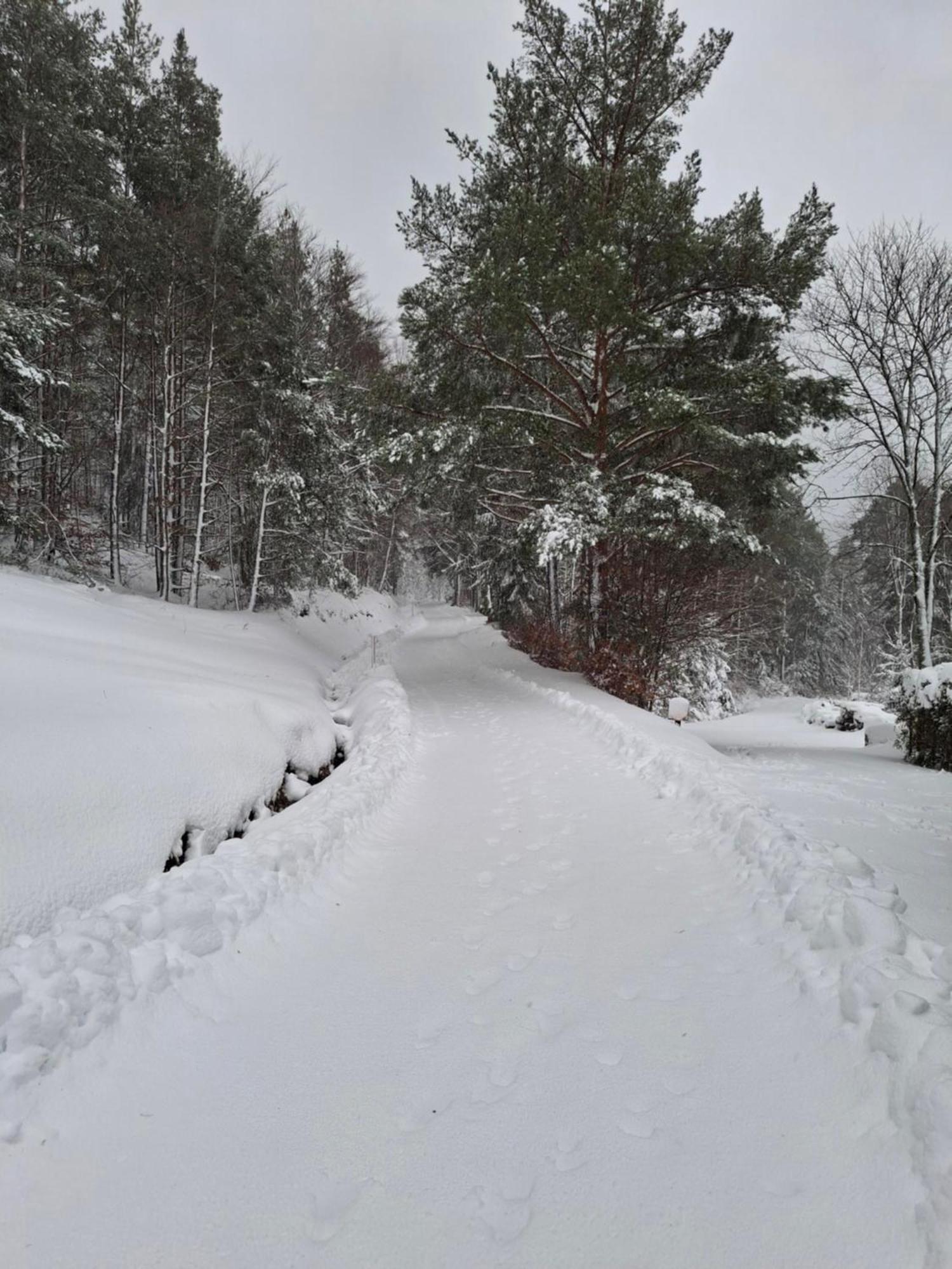 Nordiques De La Welche Villa Orbey Kültér fotó