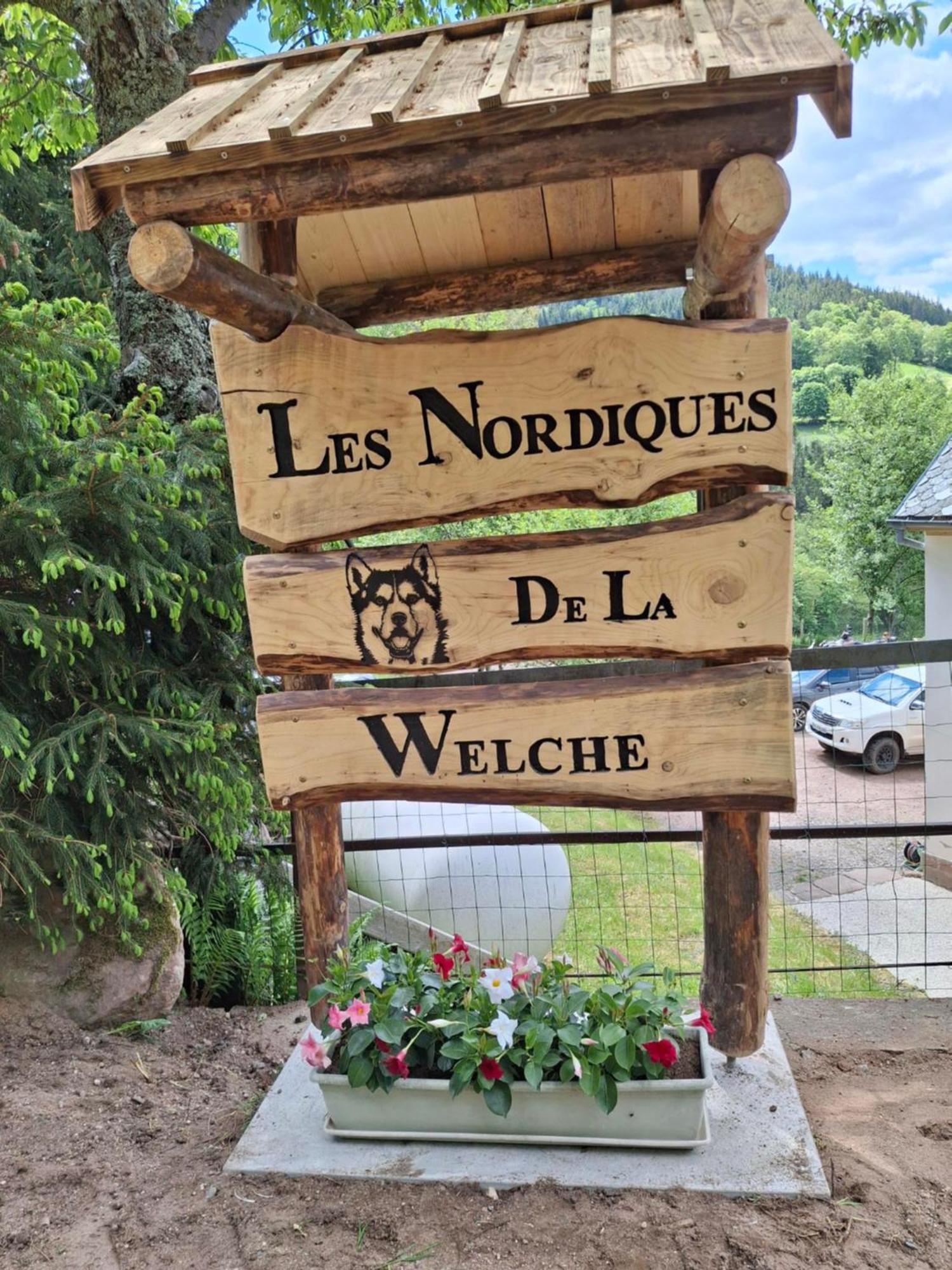 Nordiques De La Welche Villa Orbey Kültér fotó